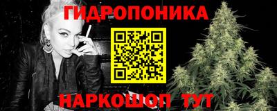 стафф Ачхой-Мартан
