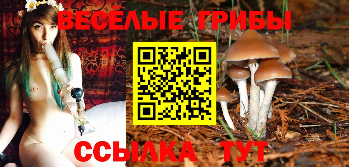 Канск  Галлюциногенные грибы MAGIC MUSHROOMS  Вход с VPN 